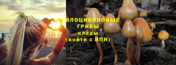 apvp Наволоки